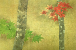 松本 勝