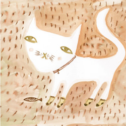 cat in socks