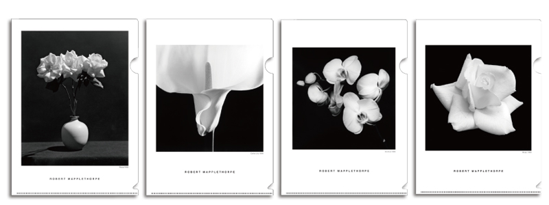 MAPPLETHORPE/A. P. J .アートプリントジャパン
