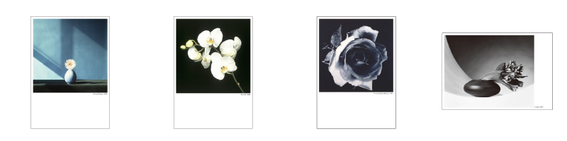 ROBERT MAPPLETHORPE LIMITED ITEM | Fragile フラジャイル 大阪