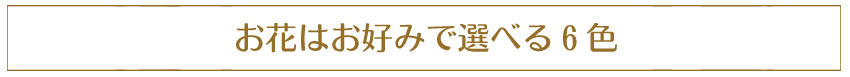 お花の色は6色