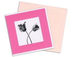 photoミニカード