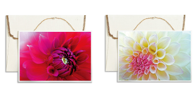 Frabces Jyo多目的カード