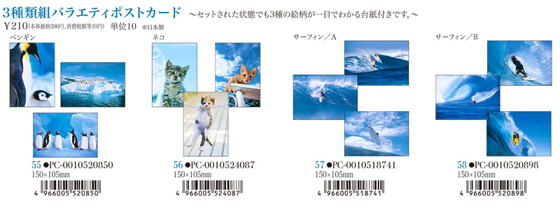 サマー３種類バラエティポストカード　ペンギン　猫　サーフィン