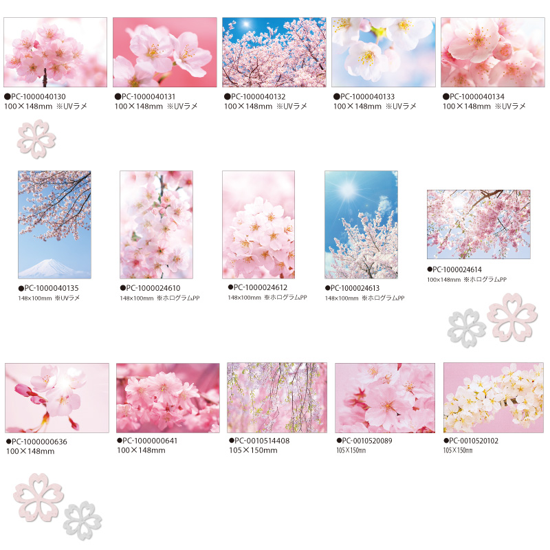 桜フォト商品