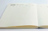 Daylight Products